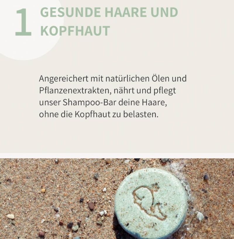 Spirit of Rügen festes Bio Shampoo -Conditioner -Duschbar Rosenbrise