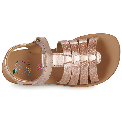 Shoo Pom - GOA SPART - Rose / Doré