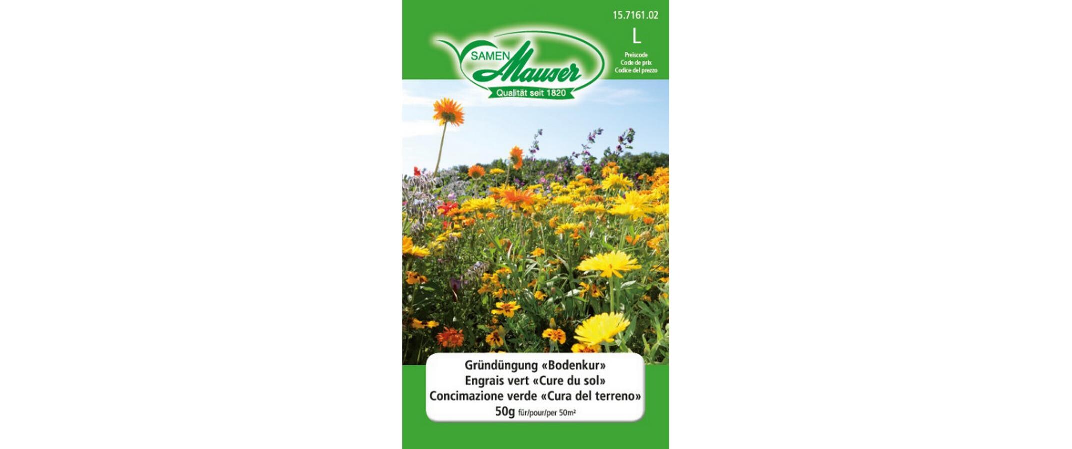 Gründüngung Bodenkur 50 gBlumensamen