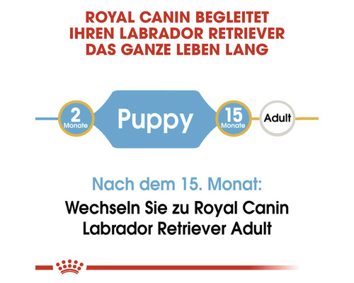 ROYAL CANIN Labrador Retriever Puppy droog hondenvoer 12 kg