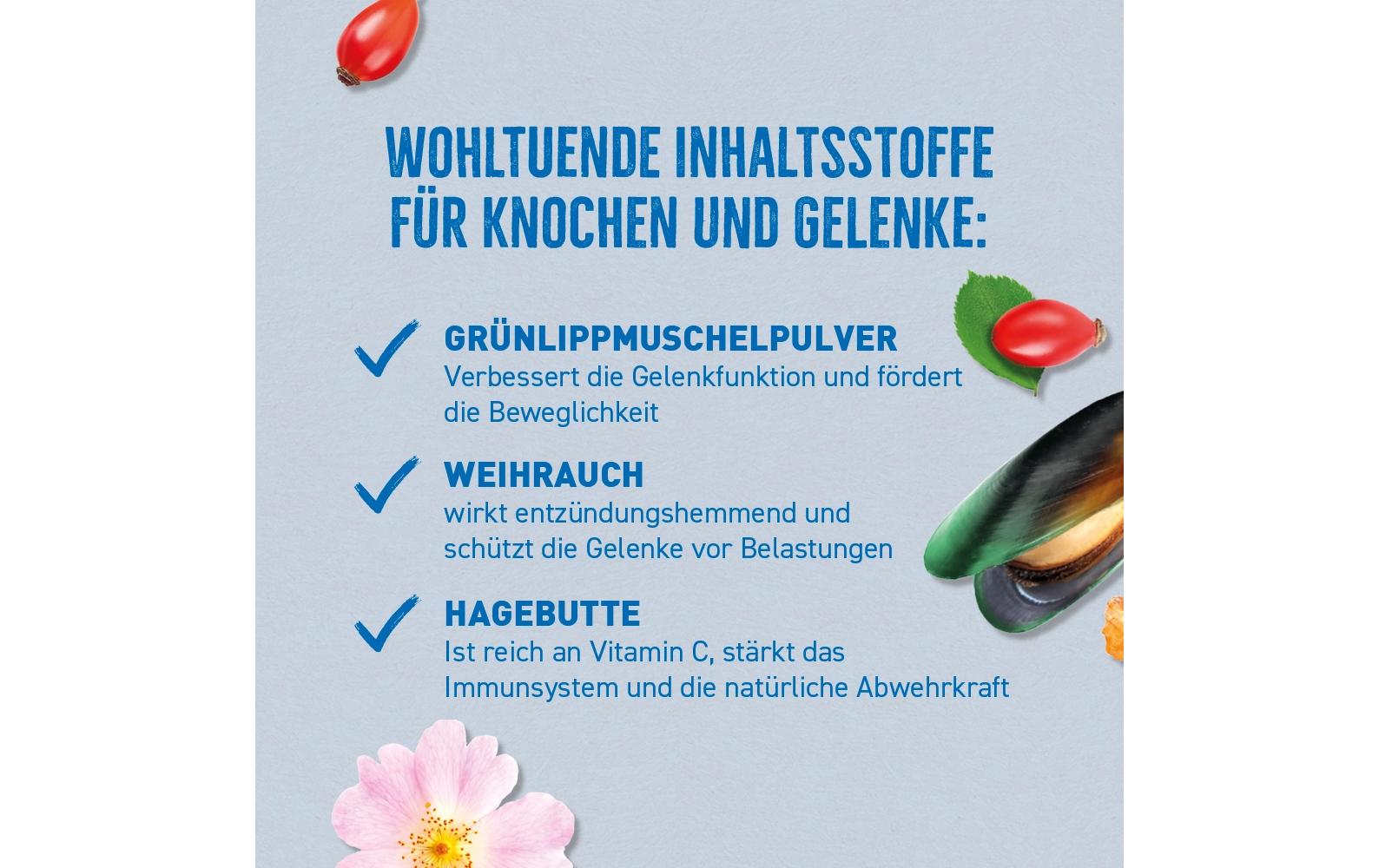 Leckerli 2-in-1 Snack Mobility 300 gErgänzungsfuttermittel für ausgewachsene Hunde