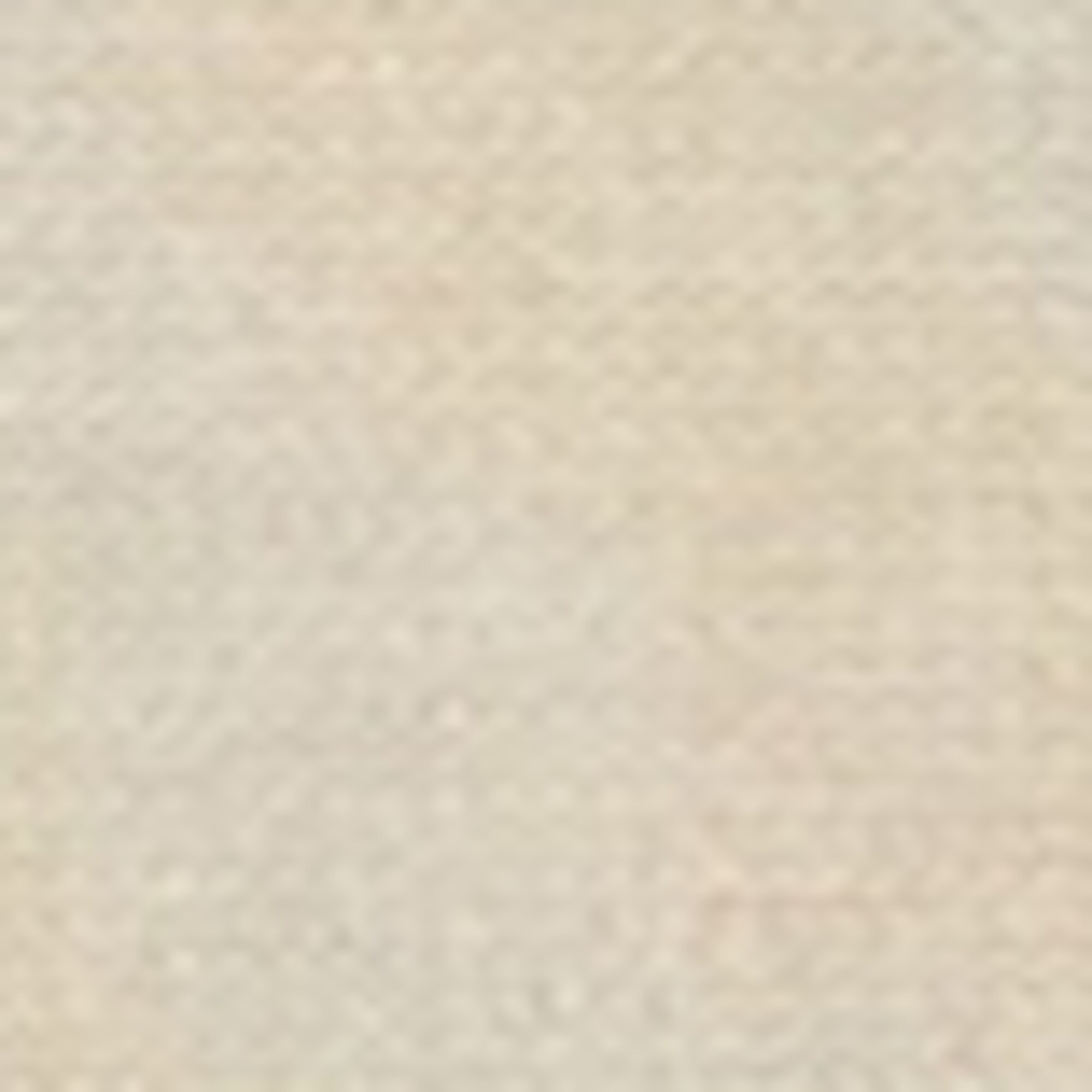 Pullover regular aus reiner Bio-Baumwolle
