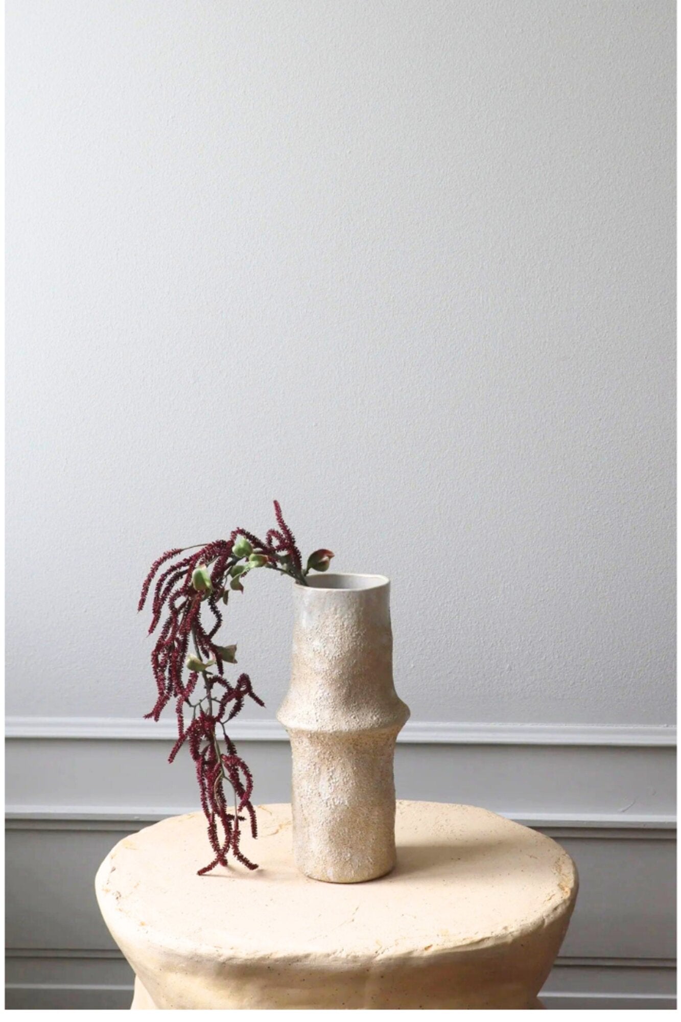Botané  Amaranthus Cruentus blomst - mørkerød
