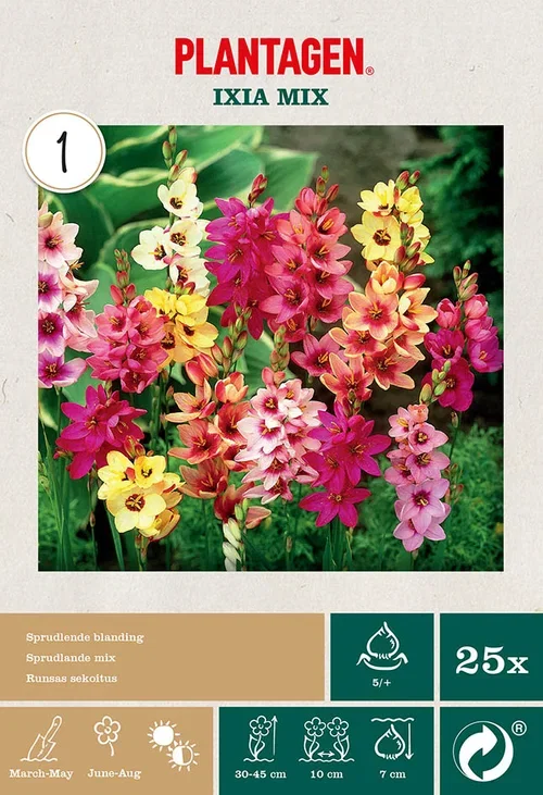 Plantagen Ixia miks 25 pk