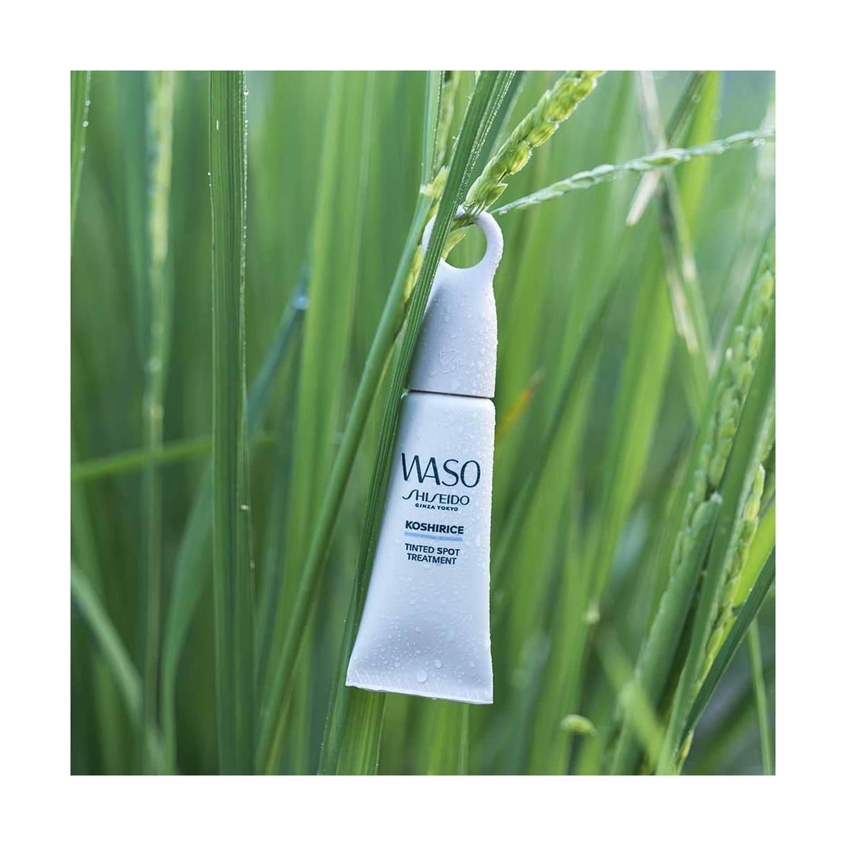 SHISEIDO Waso Traitement Teinté