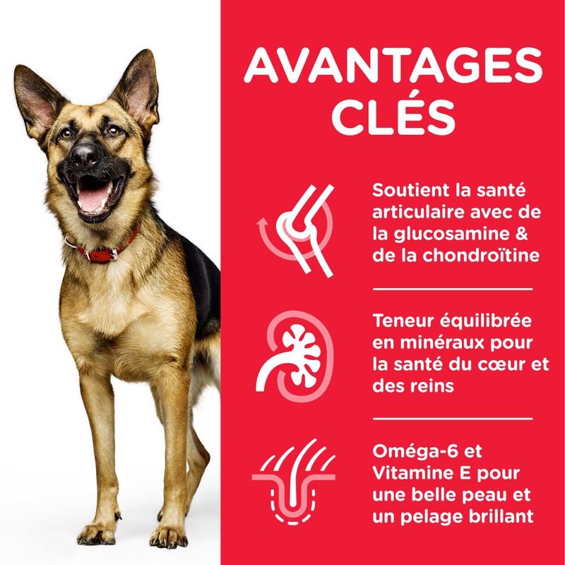 Hill's Science Plan Mature Adult 6+ Large poulet à prix discount sur bitiba.fr