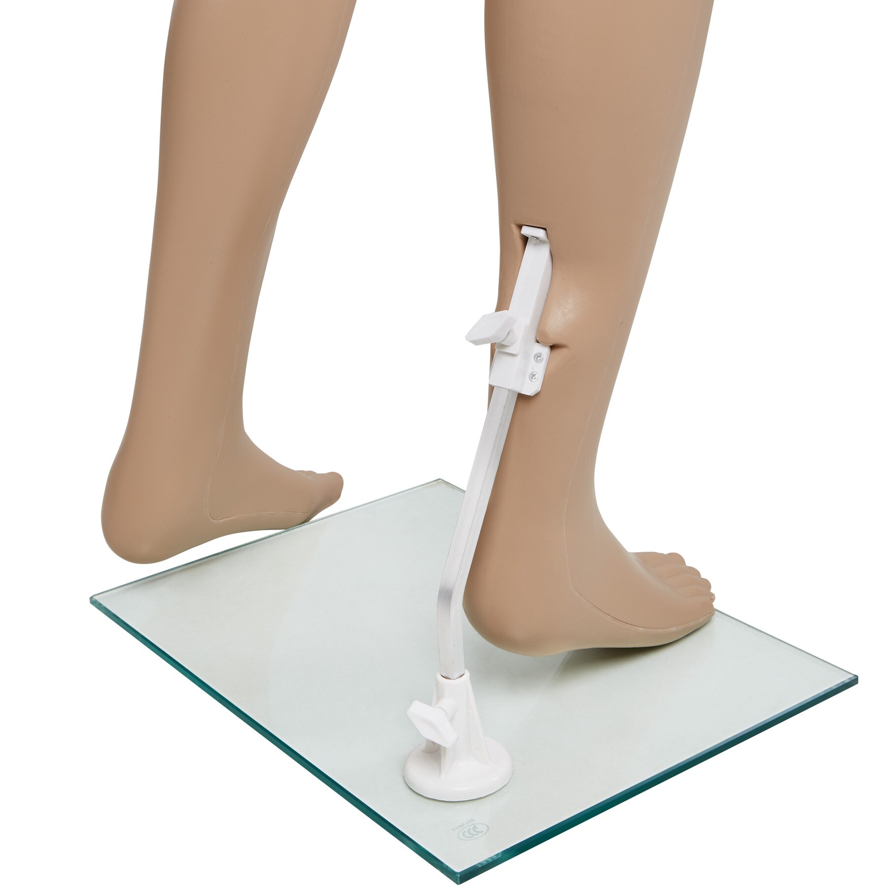 tectake® Schaufensterpuppe, aus Kunststoff, lebensechte Proportionen, Glasplatte mit Wadendorn