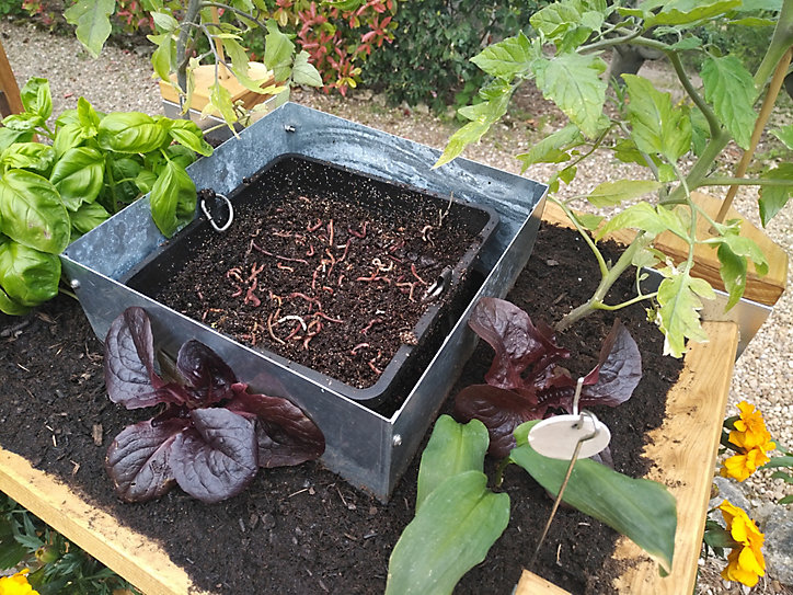 Carré potager composteur Jany Vertika