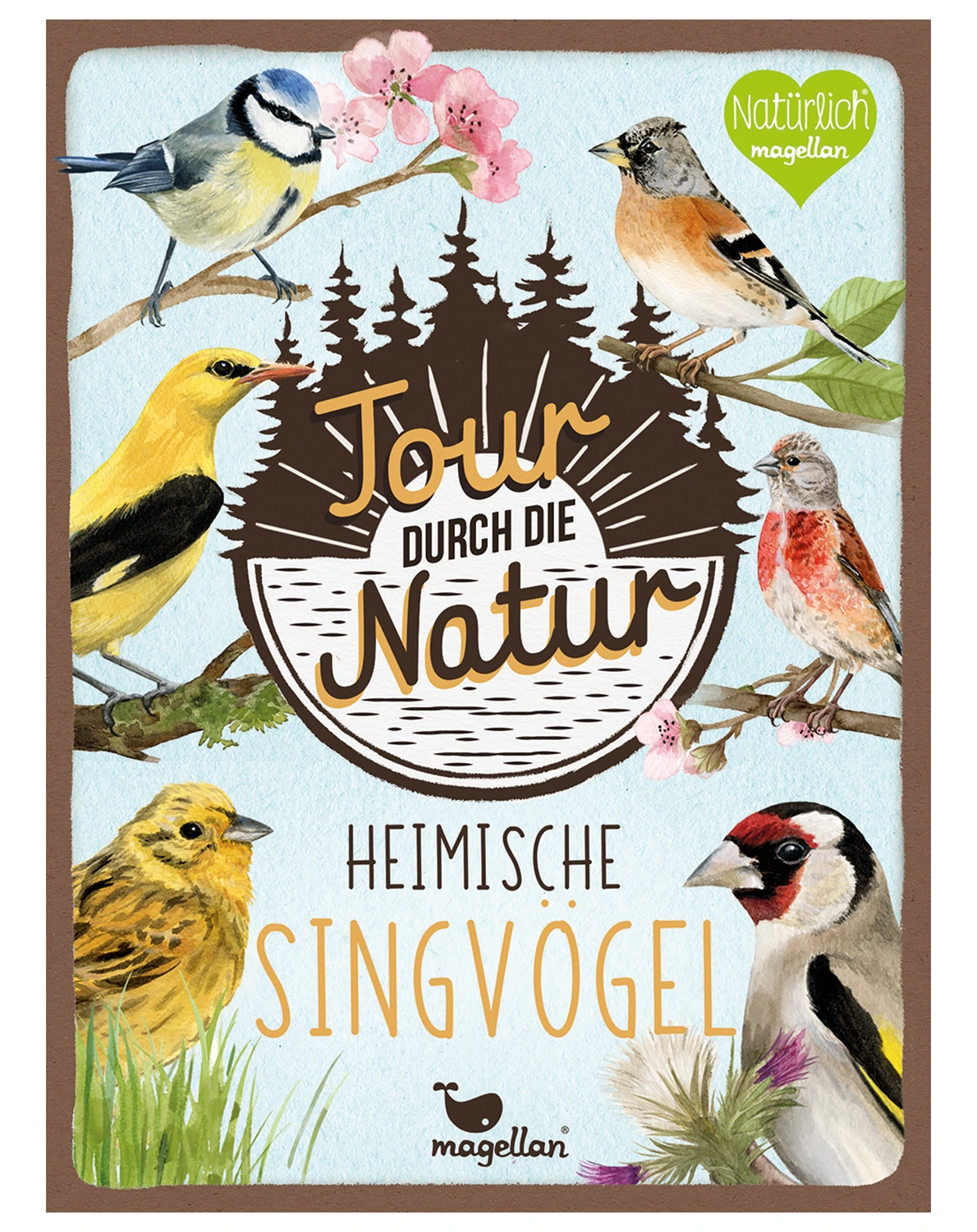 Lernkarten TOUR DURCH DIE NATUR – HEIMISCHEN SINGVÖGEL