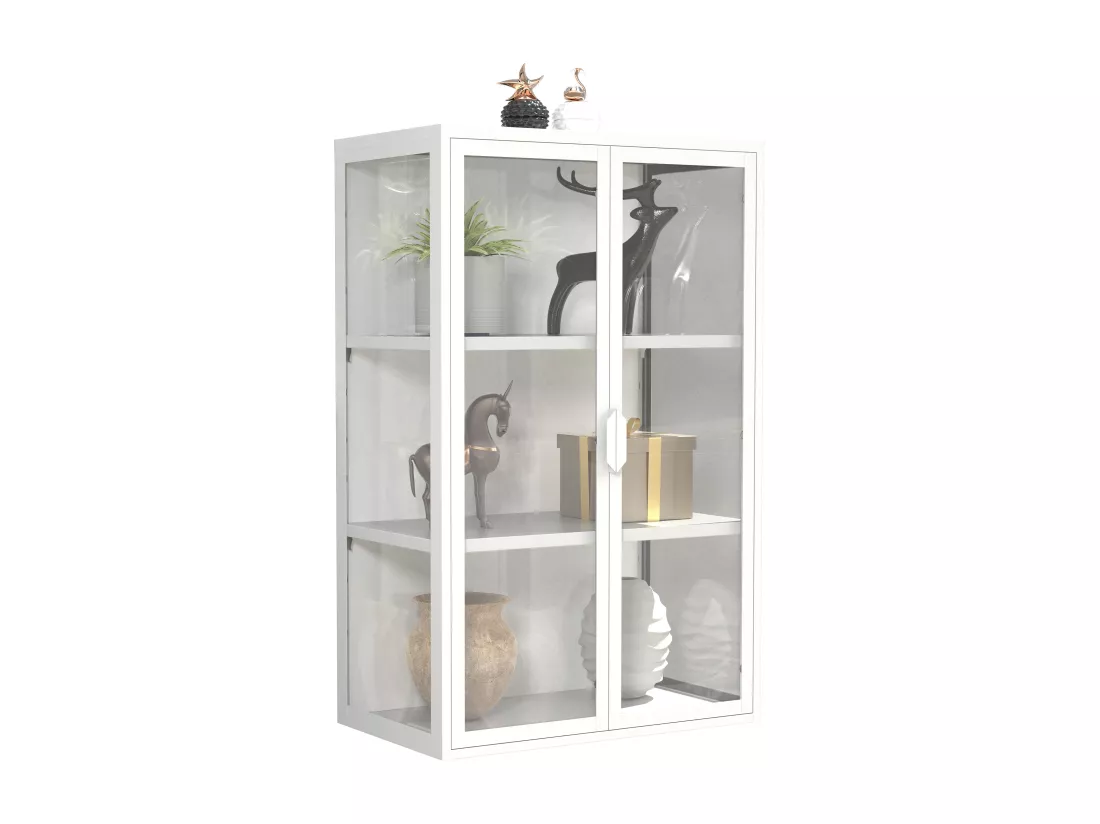 VCM acier vitrine murale vitrine suspendue vitrine en verre vitrine murale vitrine en verre 95x60x35 cm Floka L