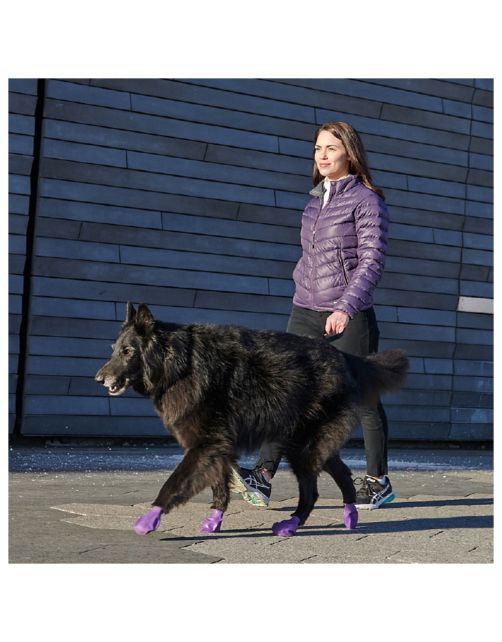 Pawz Rubber Dog Boots - Hondenschoen - Paars Large