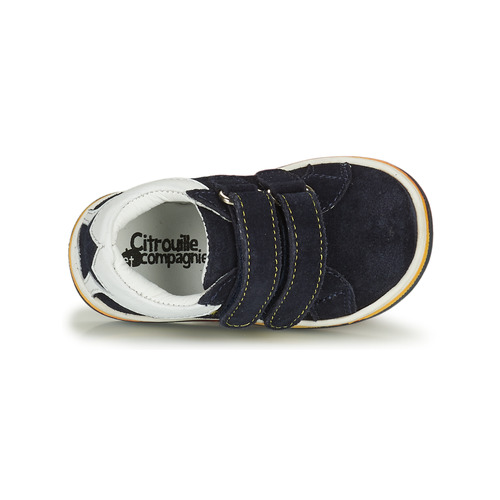 Citrouille et Compagnie - TOPELLE - Navy