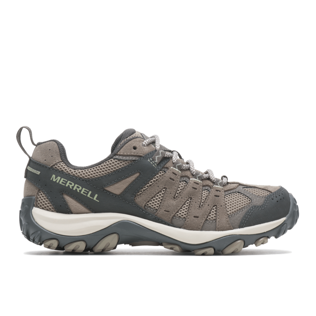 Accentor 3 Mulher