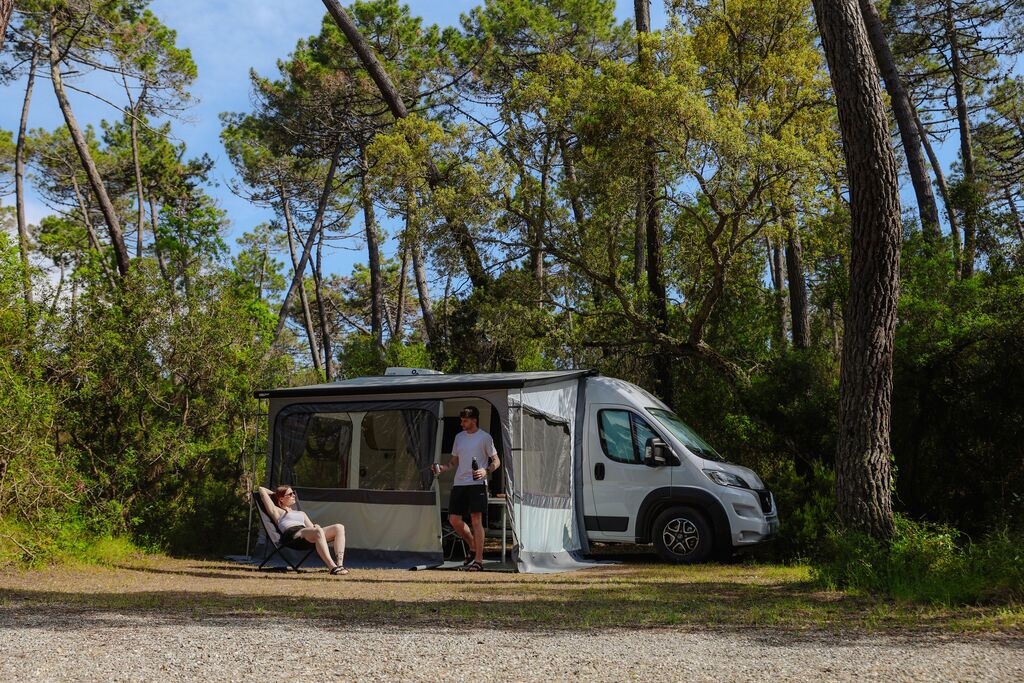 Fiamma F80s Markise Ducato passend für Ducato / Jumper / Boxer Deep Black 320 cm