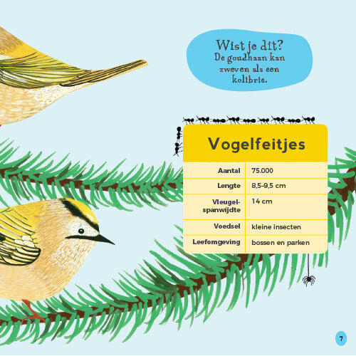 Uitgeverij lemniscaat mijn eerste vogelboek