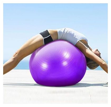 Swiss Ball Ballon de Fitness Gymnastique pour Pilates Yoga Renforcement du Dos avec Pompe Ballon - Bleu Diamètre 75 cm Taille M