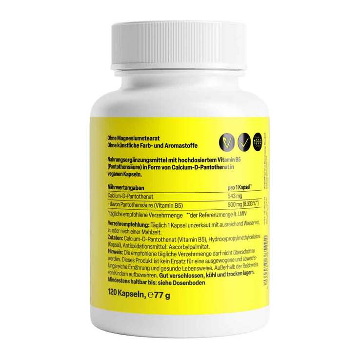 Vitamin B5 Pantothensäure 500 mg Kapseln, 120 St