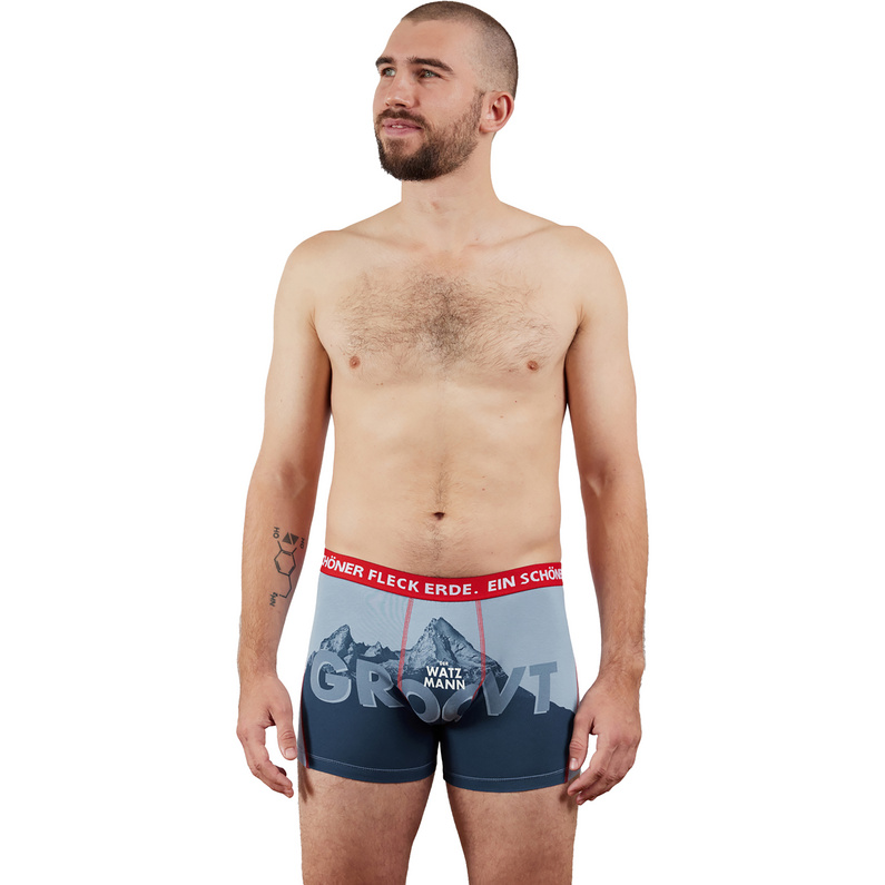 Ein schöner Fleck Erde Herren Der Watzmann Groovt Boxer