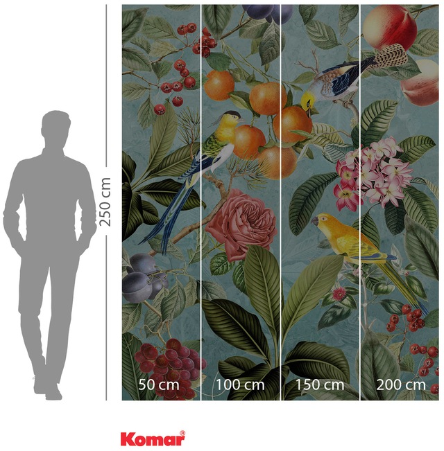 Komar Vliestapete »Digitaldruck Vlies -  Birds and Berries - Grösse 200 x 250 cm« bedruckt glatt Wohnzimmer, Schlafzimmer
