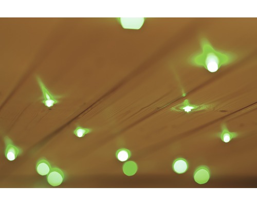 Sterrenhemel LED Caribou