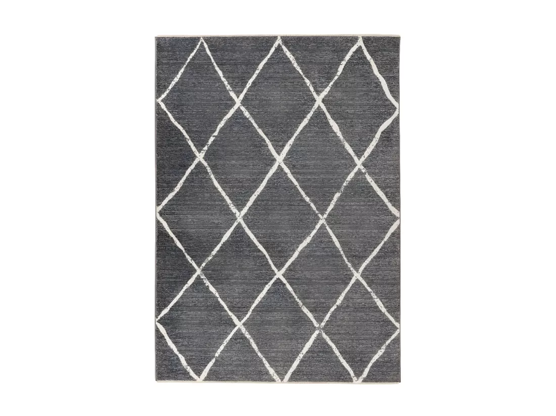 Tapis 290x200cm, design A105R coloris gris - Confort et élégance pour votre intérieur