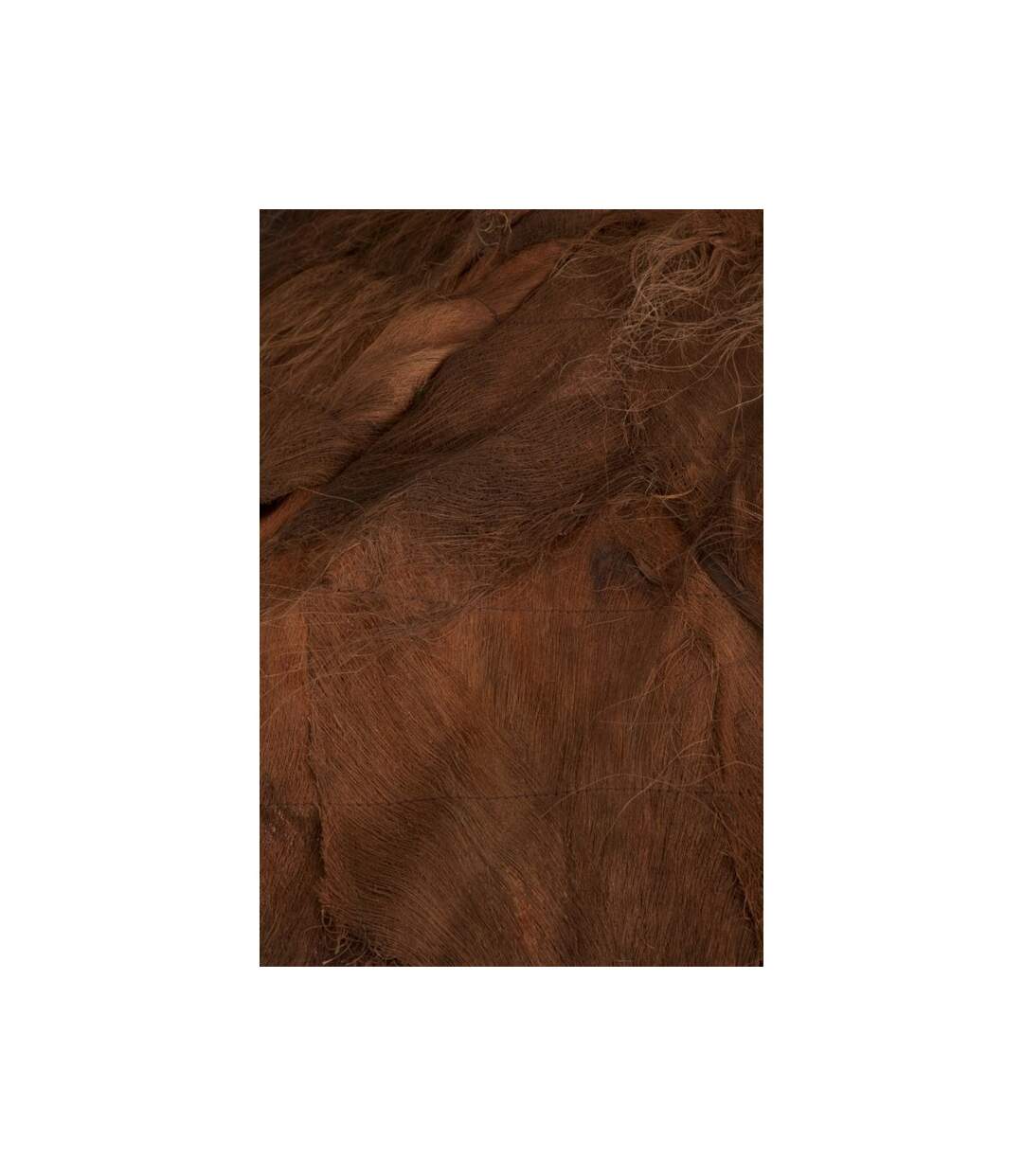 Paris Prix - Parasol En Bois cocotier 150cm Marron