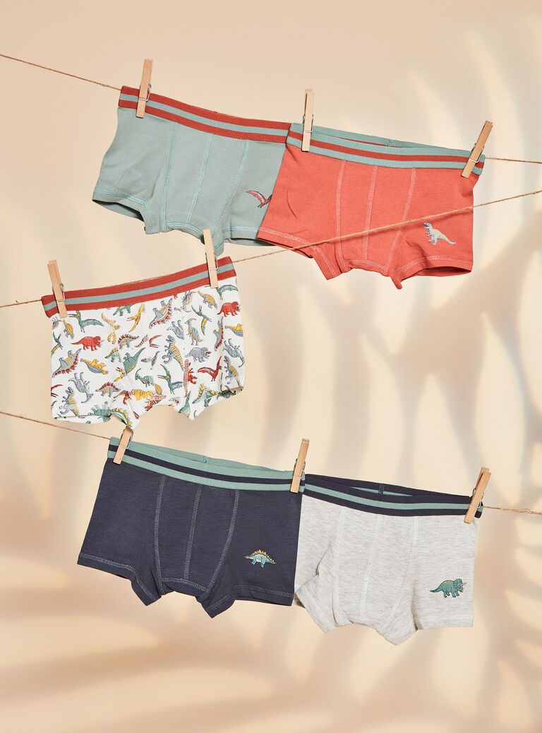 Lot de 5 boxers assortis en coton biologique