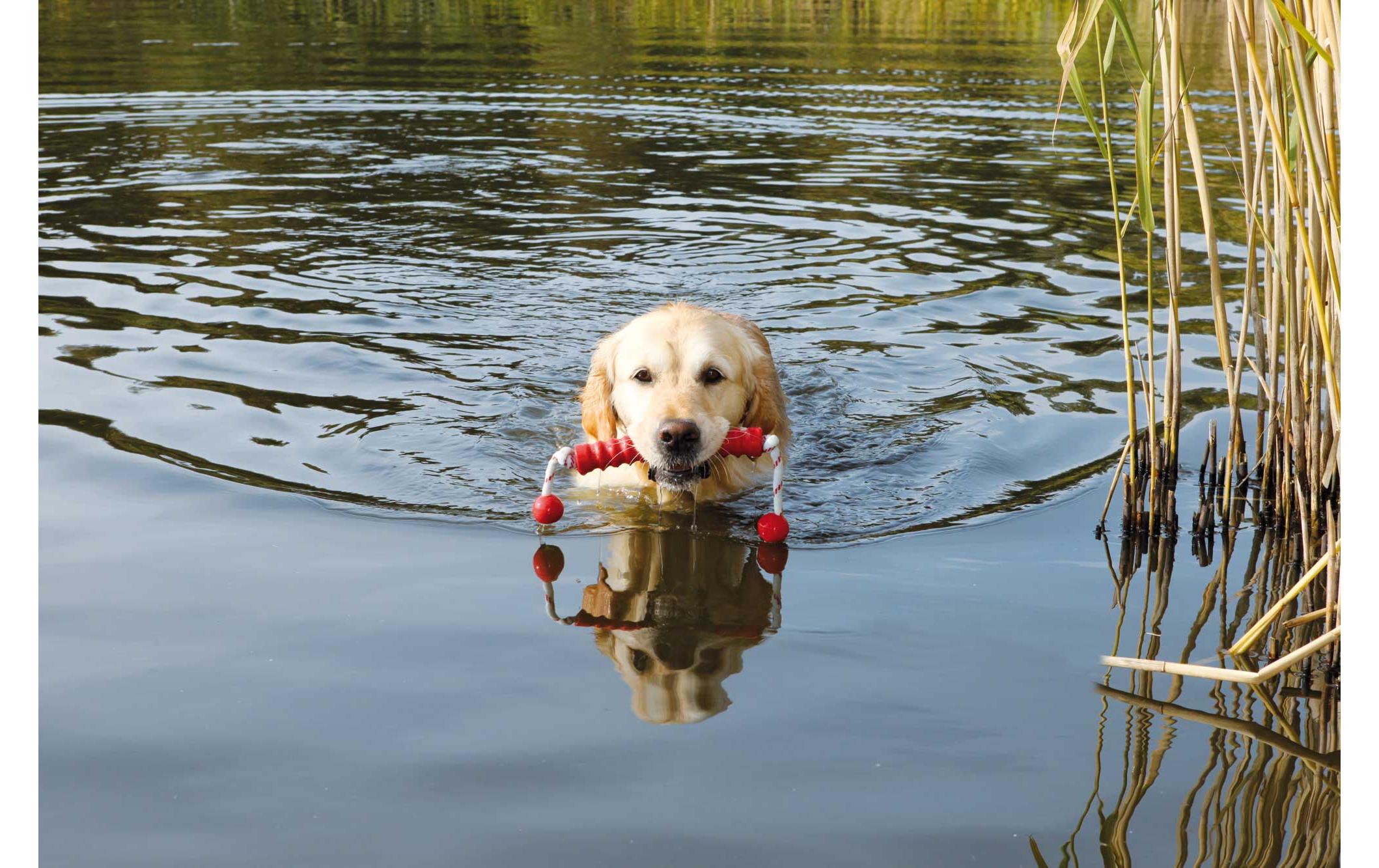 Schwimmspielzeug Aqua Toy MOT-Fun, 42 cm, GelbSchwimmendes Hundespielzeug zum Apportieren