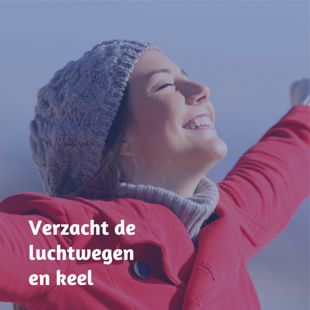 Dampo Luchtwegen Pastilles Suikervrij24 zuigtabletten