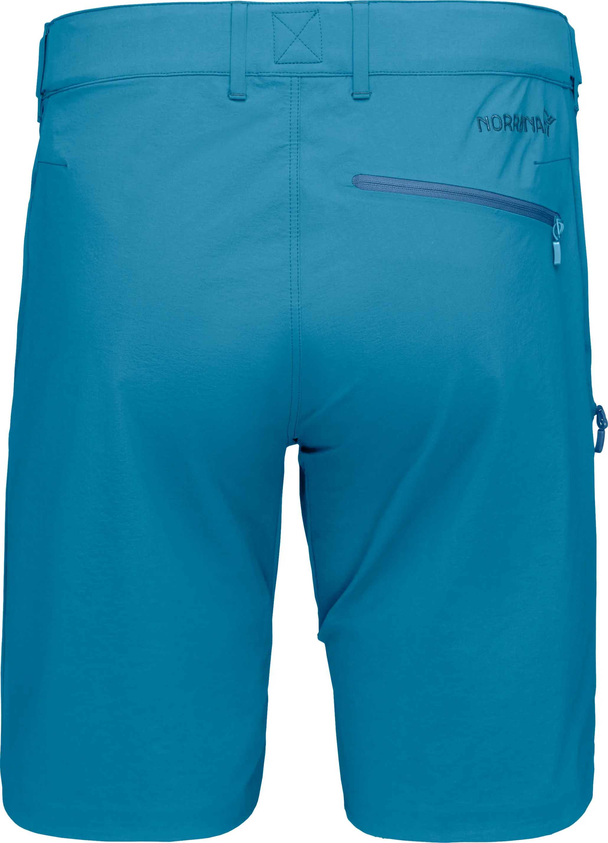 Norrøna Men's Falketind Flex1 Shorts Tapestry