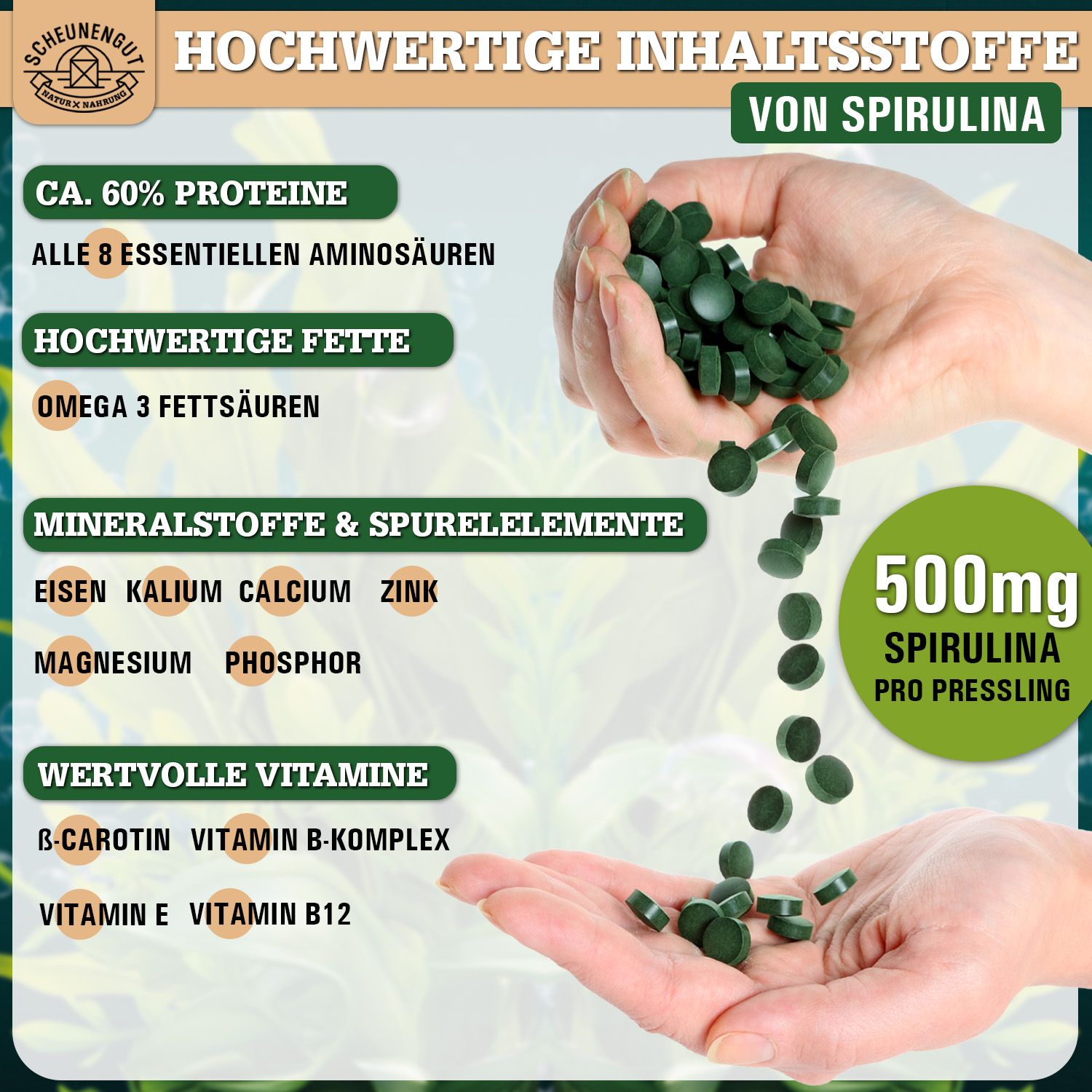 Scheunengut® Bio Spirulina Presslinge | 500mg pro Pressling | beste Qualität aus Darwin, Australien