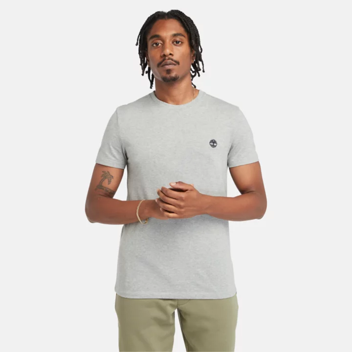 T-shirt Dunstan River pour homme en gris