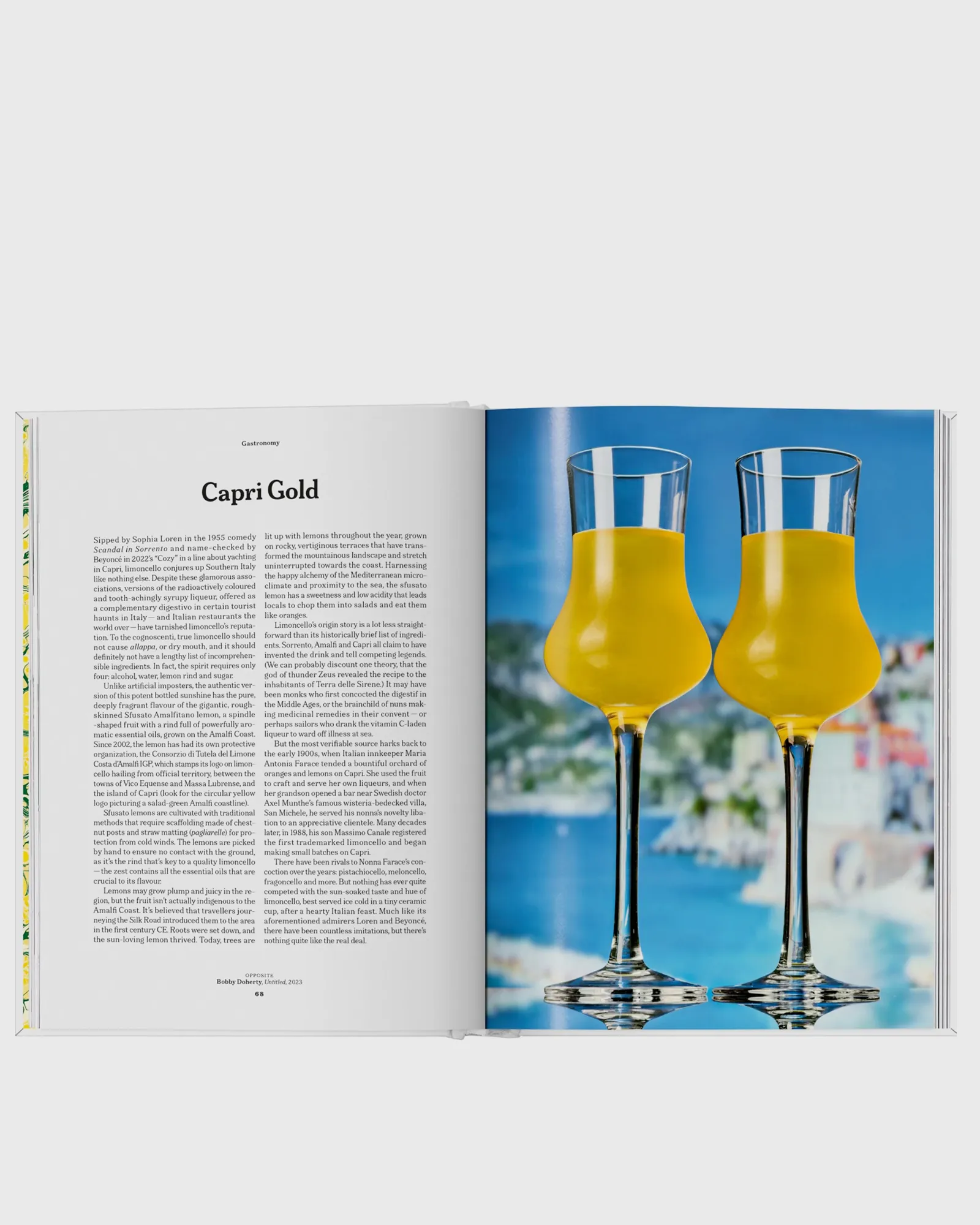 Taschen The Gourmand's Lemon. A Collection of Stories and Recipes