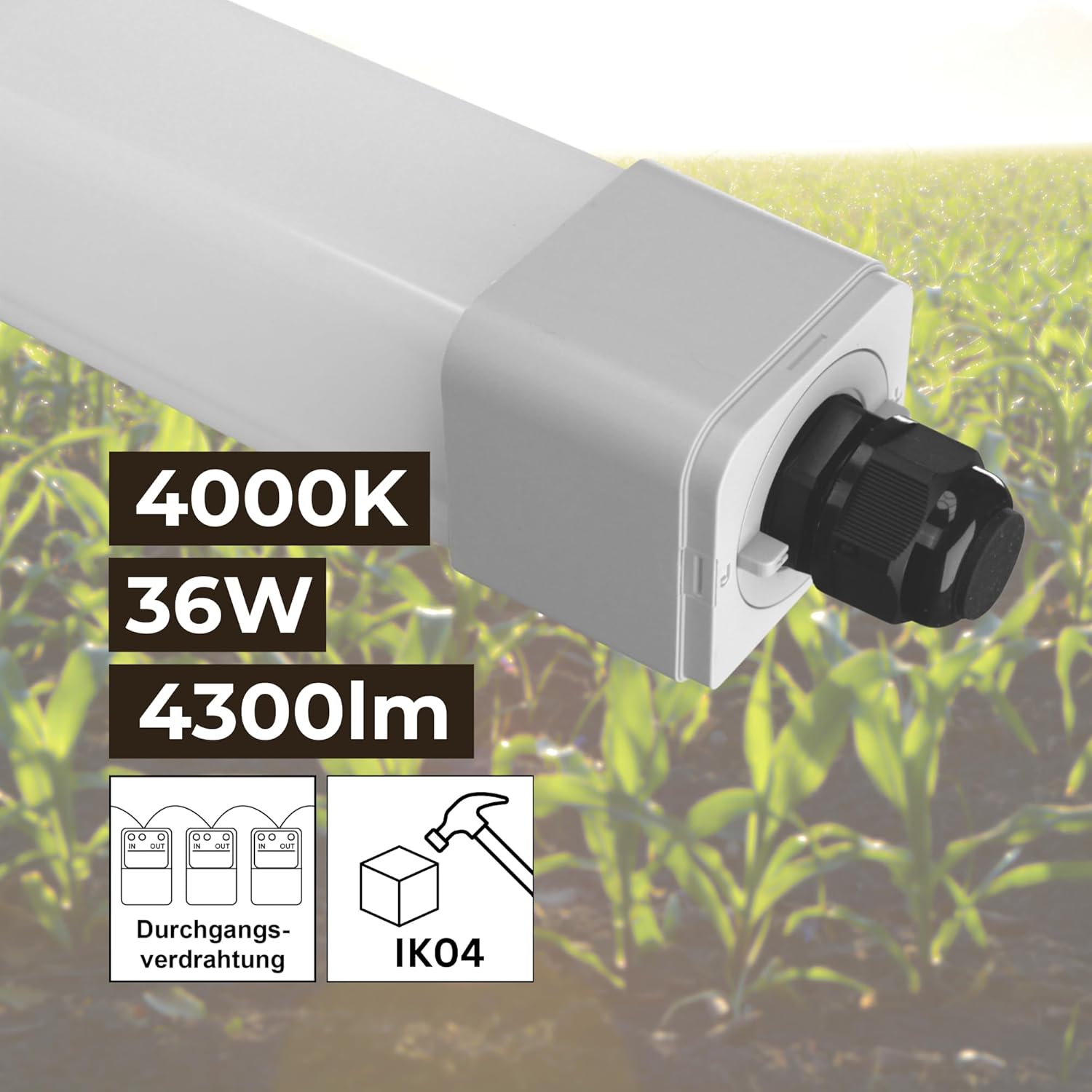 12x LED Feuchtraumleuchte Stallleuchte 120cm 4000K dlg anerkannt ammoniakbeständig 36W 4300lm IP66 Agrarleuchte Stalleuchte Beleuchtung Kuh Kuhbeleuchtung Schweineleuchte agrarlampe