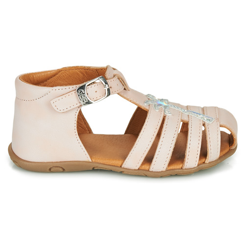 GBB - ANAYA - Rose