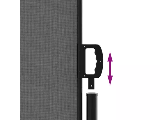 Auvent latéral rétractable anthracite 220x1000 cm