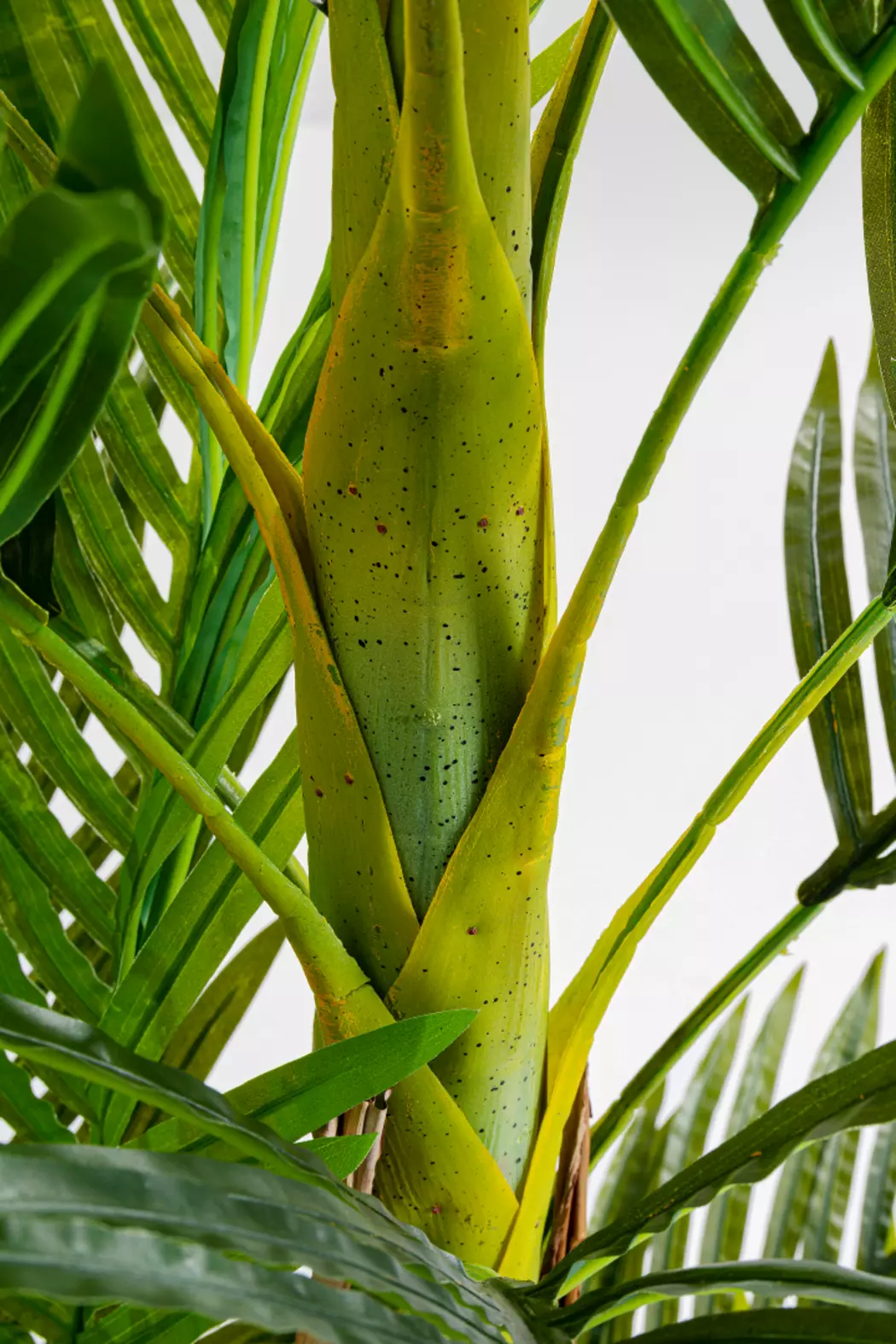 Deko Pflanze 51789 Palm Tree