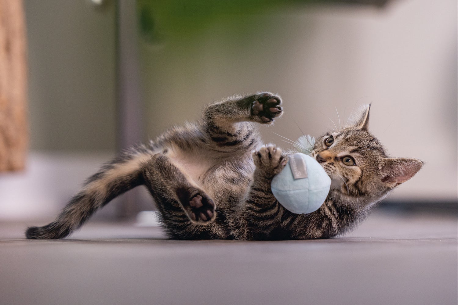 Beeztees kattenspeelgoed speelbal met veer Rizo grijs D 5 H 12 cm