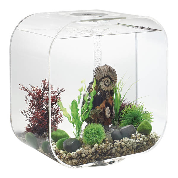 biOrb Life 30 MCR Clear | Met GRATIS Service Kit!