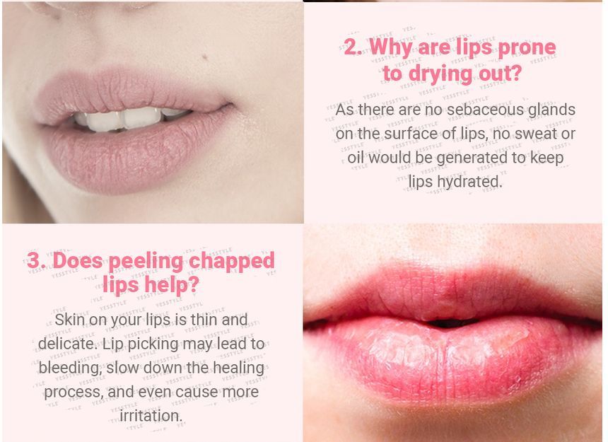 CARE:NEL - Berry Lip Night Mask Jumbo
