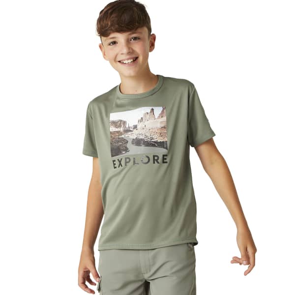 T-shirt randonnée REGATTA ALVARADO VIII AGAVE GREEN