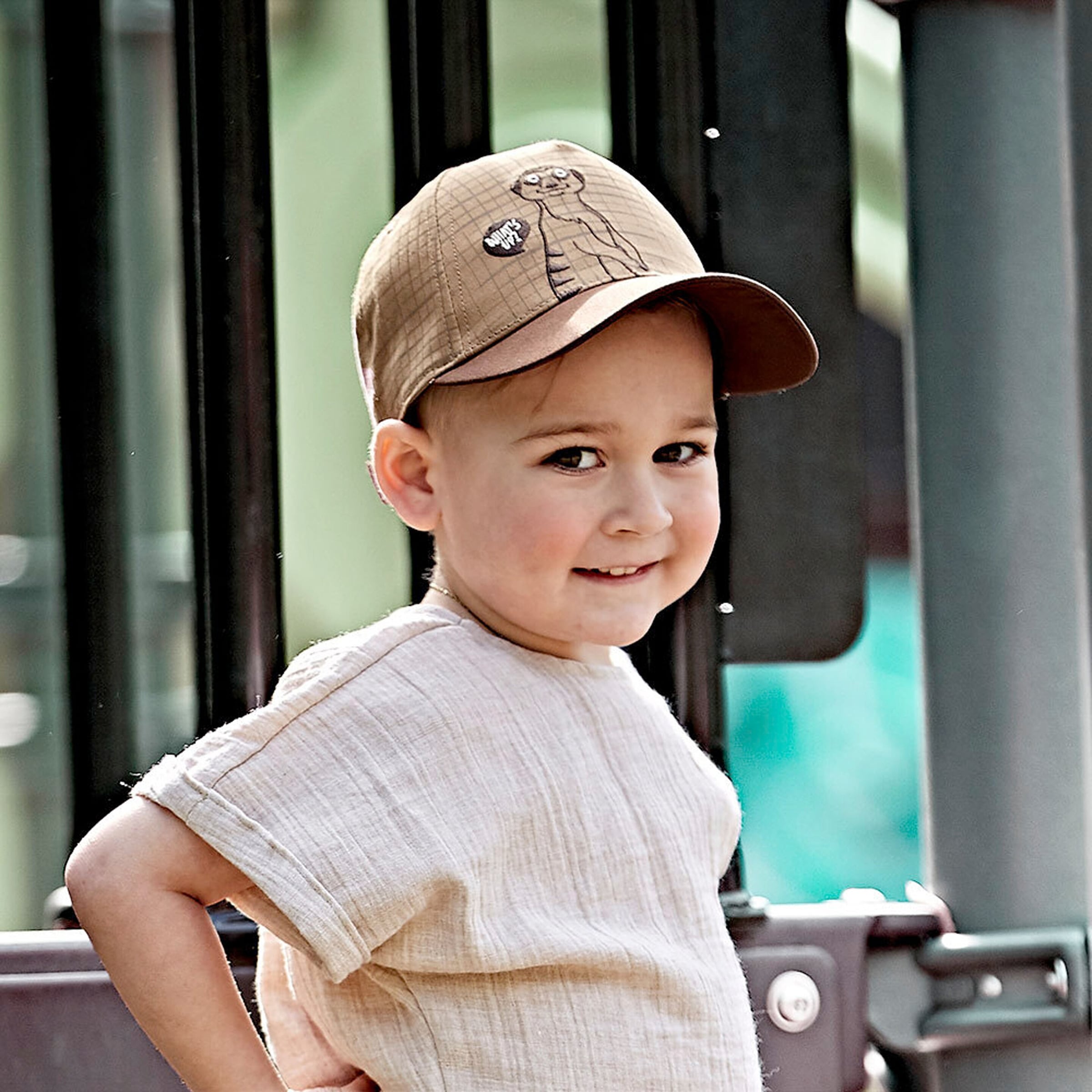maximo Cap Erdmännchen braun