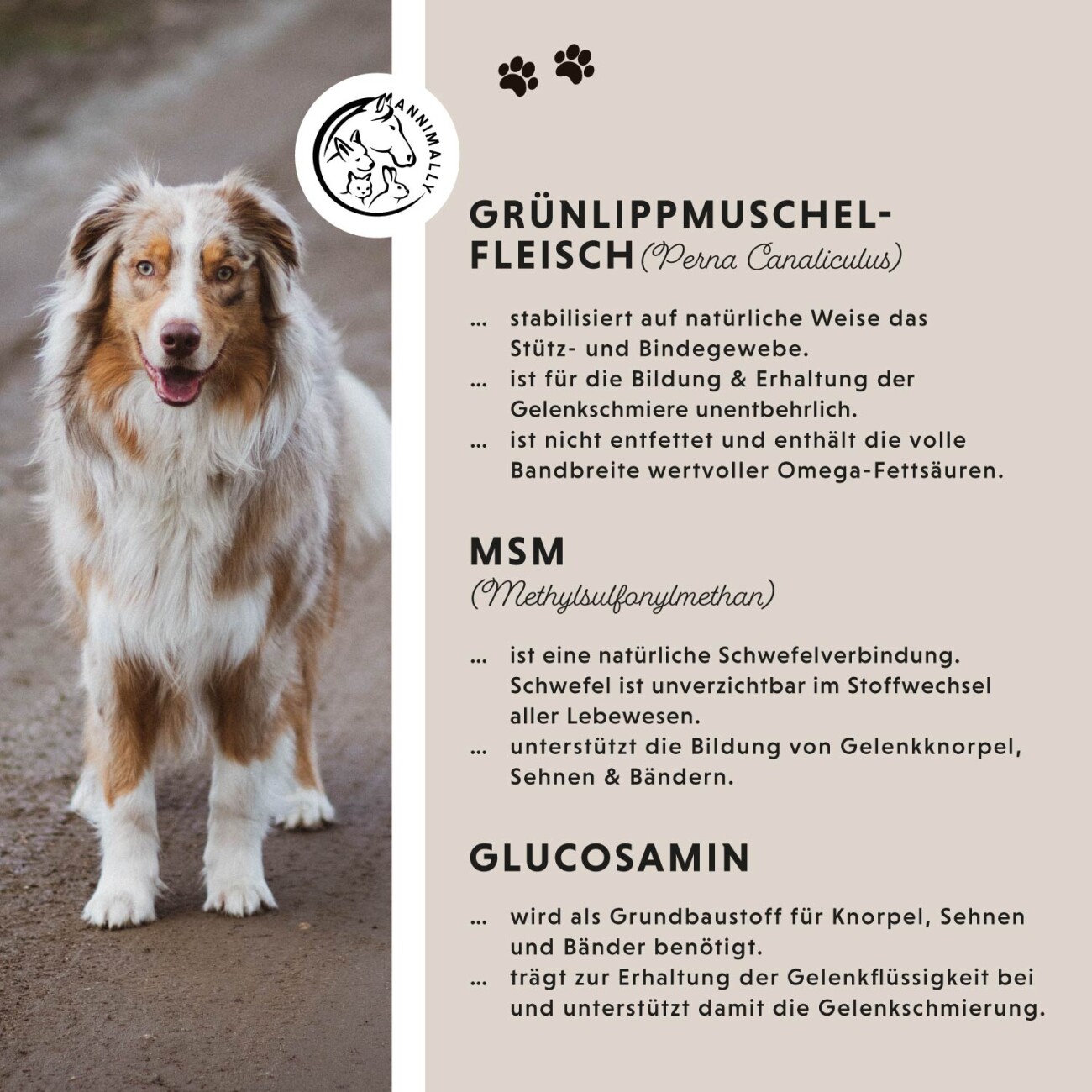 Annimally Gelenktabletten 120 Stück