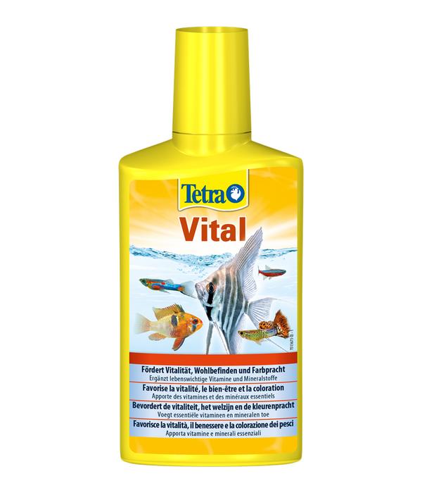 Tetra Vital Aquarienwasserpflege