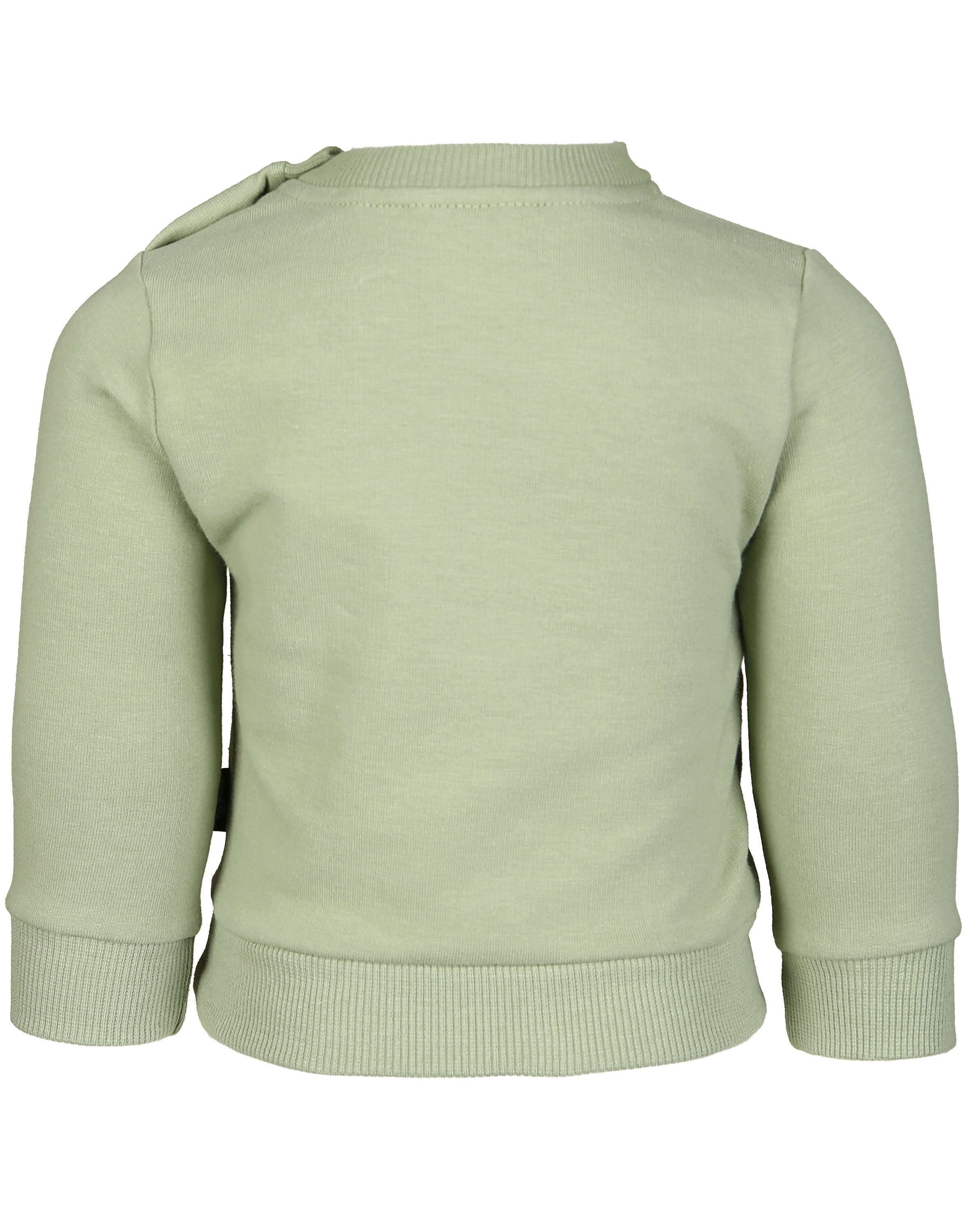 Sweatshirt FUCHS in basil blush
