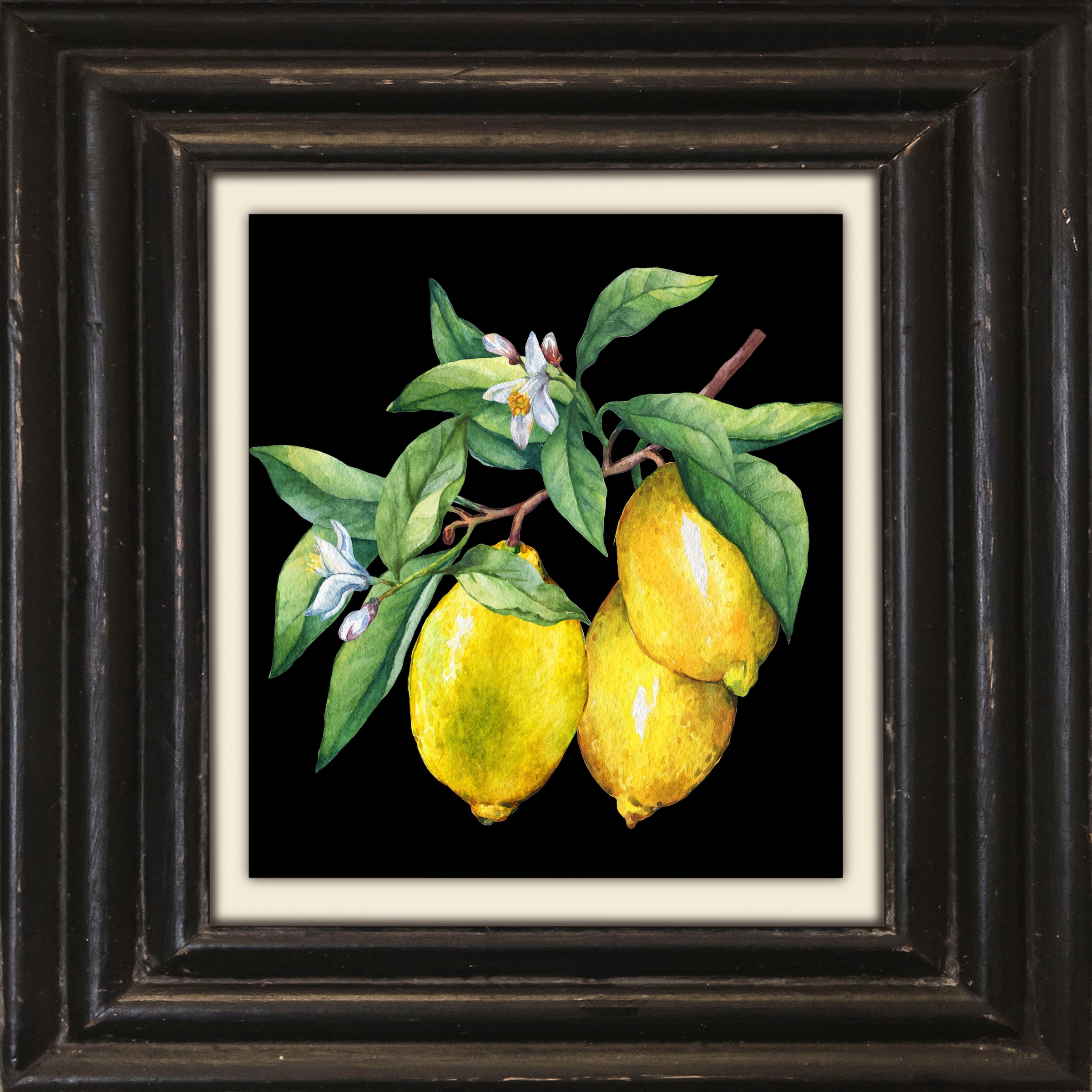 queence Leinwandbild »Zitronen« Kunst | Obst | Obst Bilder | Stillleben Premium-Leinwandstoff, Handarbeit aus Deutschland, 40x40cm