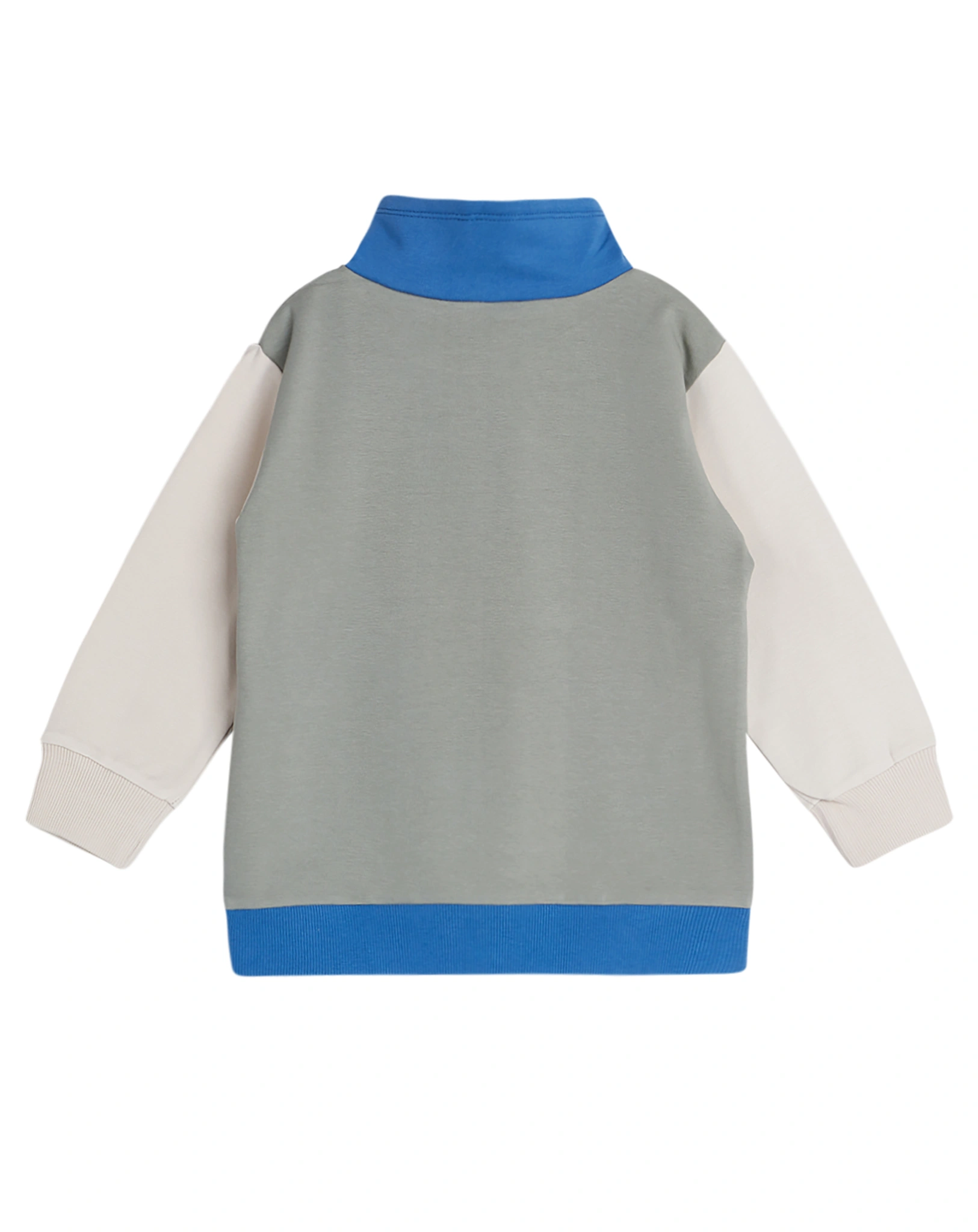 Sweatshirt SNAKE in seagrass