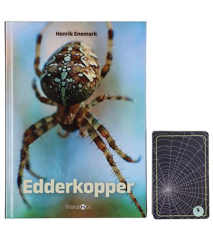 Straarup & Co Sampak - Spil & L?s - Edderkopper