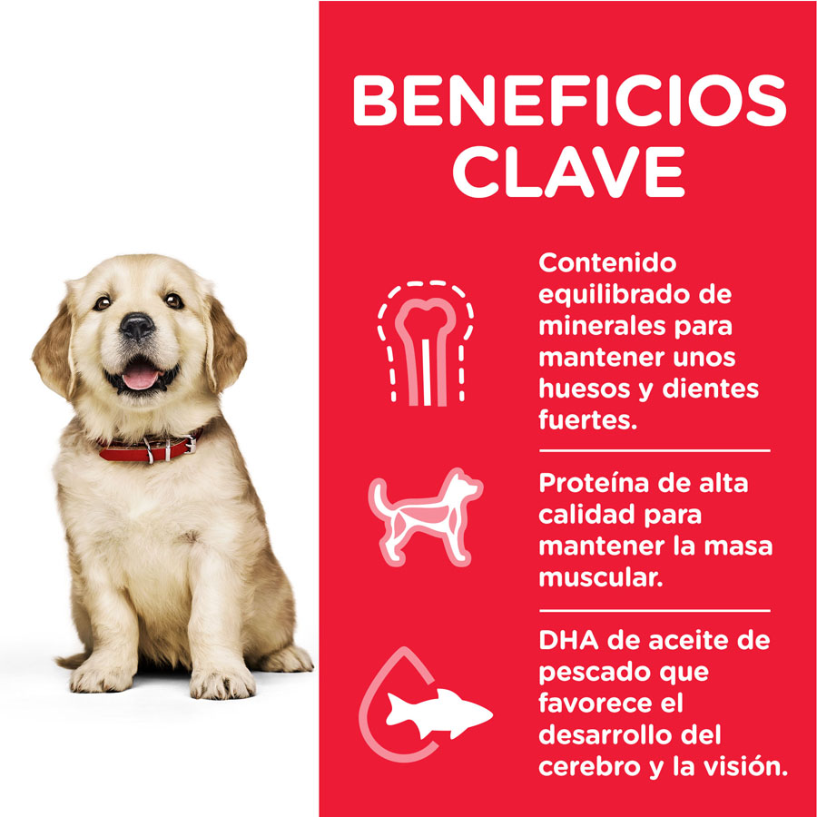 Ração Hill's Science Plan para Filhotes de Porte Grande com Sabor de Frango