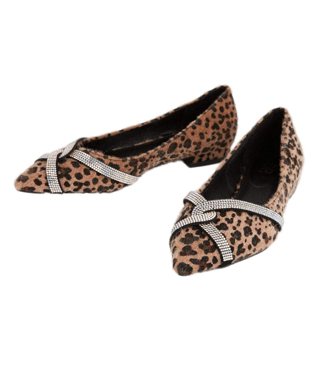 Dorothy Perkins - Ballerines PERCY - Femme (Marron / Noir) - UTDP1815
